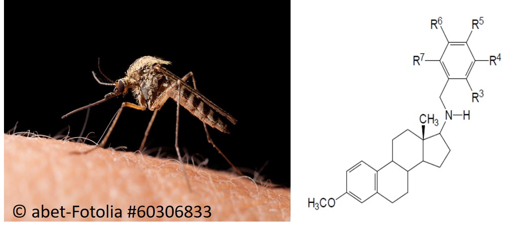 Steroid-based compounds against Malaria